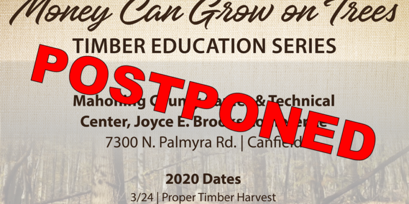 Timber Education Series Workshop – POSTPONED