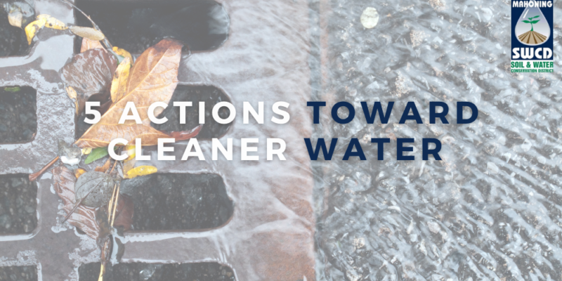 5 Actions You Can Take To Help Promote Clean Water