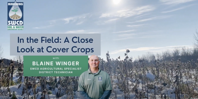 SWCD Kicks Off New Educational Video Series With A Close Look At Cover Crops