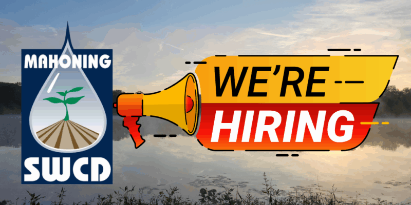 We’re Hiring: Join Our Team As An Administrative Assistant!