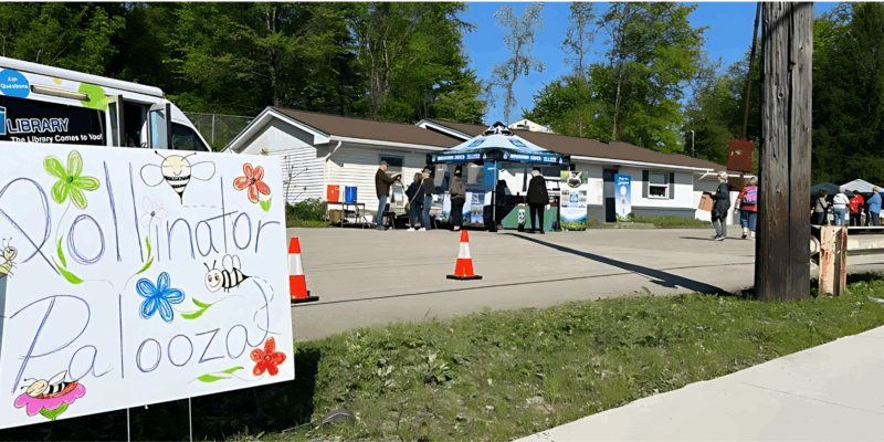 Pollinator Palooza A Buzzing Success In Mahoning County