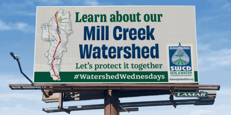 Spotlight On The Mill Creek Watershed